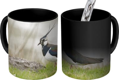 Magische Mok - Foto op Warmte Mokken - Koffiemok - Vogel - Gras - Dieren - Natuur - Kievit - Magic Mok - Beker - 350 ML - Theemok