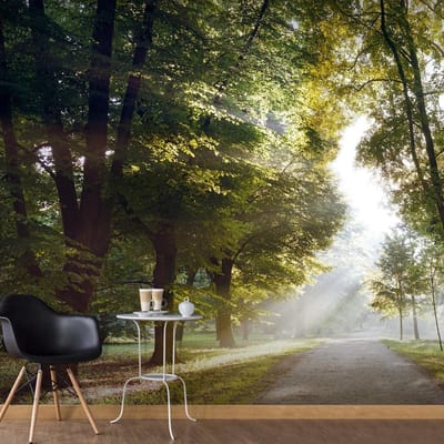 Fotobehang – Behangpapier - Fotobehang XXL - Morning Walk II 500x280 - Artgeist
