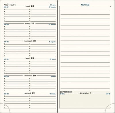 SnelShoppen - Weekkalender 2024-2025 - Exacompta 1 SAS 17 Winner - Zakelijke Agenda 9x17,5 cm - Willekeurige Kleuren - Perfect voor Planning en Organi