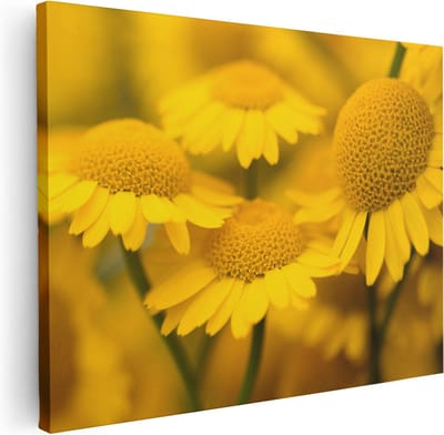 Artaza Canvas Schilderij Gele Bloemen - 40x30 cm - Klein - Muurdecoratie Bloemen - Wanddecoratie Woonkamer - Schilderijen Op Canvas Natuur