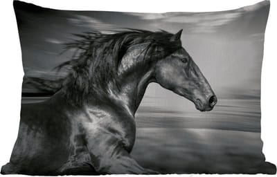 Buitenkussens - Tuin - Paard - Dieren - zwart - Wit - 50x30 cm