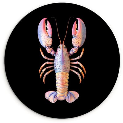 WallCircle® Wandcirkel 60x60 cm - Muurcirkel Kreeft - Roze - Zacht - Zwart - Muurdecoratie woonkamer - Wanddecoratie keuken - Kamer decoratie accessoires - Ronde schilderijen