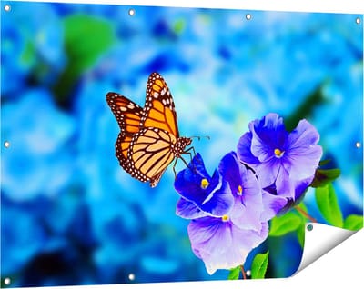 Gards Tuinposter Oranje Vlinder bij Paarse Bloemen - 120x80 cm - Tuindoek - Tuindecoratie - Wanddecoratie buiten - Tuinschilderij