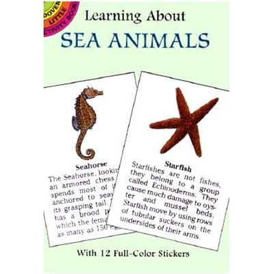 Learning About Sea Animals - Barlowe, Sy