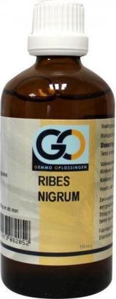Go Ribes Nigrum