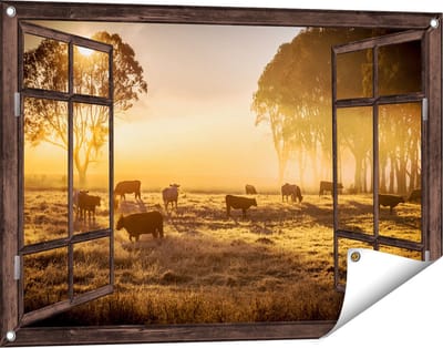 Gards Tuinposter Doorkijk Kudde Koeien in de Wei met Zonsopkomst - 90x60 cm - Tuindoek - Tuindecoratie - Wanddecoratie buiten - Tuinschilderij