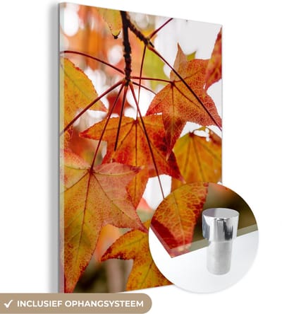 MuchoWow® Glasschilderij 30x40 cm - Schilderij acrylglas - Herfsttakken - Bladeren - Seizoenen - Landelijk - Foto op glas - Schilderijen