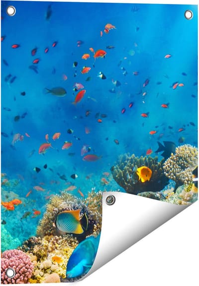 Gards Tuinposter Onderwater Vissen met Koraal in de Zee - 40x50 cm - Tuindoek - Tuindecoratie - Wanddecoratie buiten - Tuinschilderij