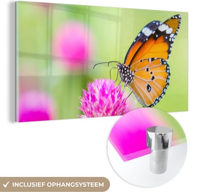 MuchoWow® Glasschilderij 40x20 cm - Schilderij acrylglas - Insecten - Vlinders - Bloemen - Foto op glas - Schilderijen