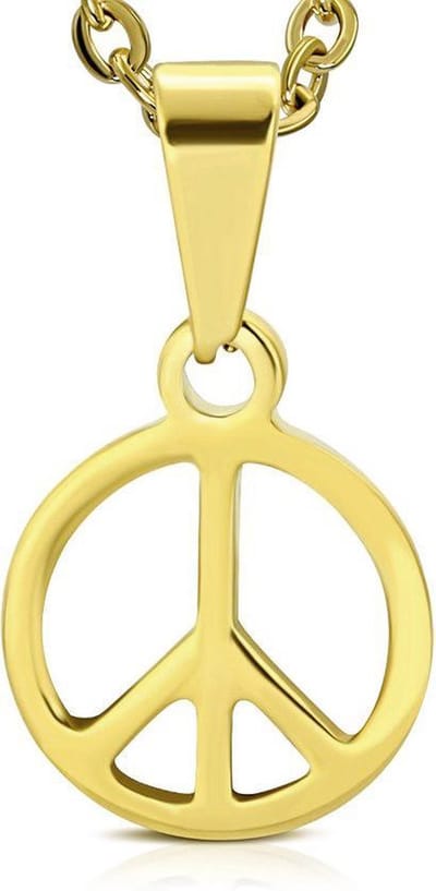 Amanto Ketting Allard - 316L Staal - Peace - Ø17mm - 60cm