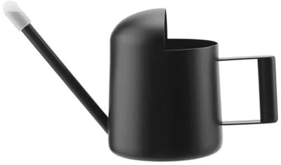 Mini gieter voor kamerplanten - Roestvrijstalen gieter met lange hals, 300 ml - Ideaal voor potplanten en groene planten
