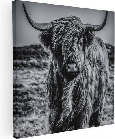 Artaza Canvas Schilderij Schotse Hooglander - 90x90 cm - Wanddecoratie Woonkamer - Muurdecoratie Dieren - Zwart Wit