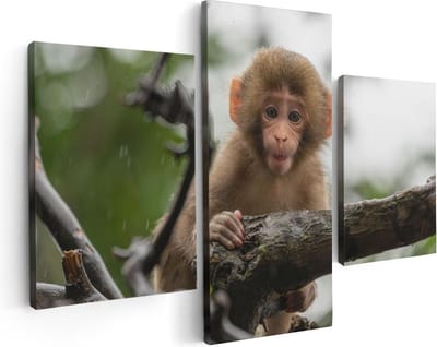 Artaza Canvas Schilderij Drieluik Klein Baby Aapje Op Een Tak - 90x60 - Foto Op Canvas - Canvas Print