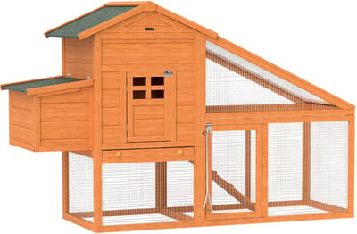 PawHut kippenhok - Vurenhout - 179x67x115cm - Oranje