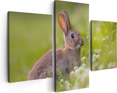 Artaza Canvas Schilderij Drieluik Konijn Tussen De Witte Bloemen - 90x60 - Foto Op Canvas - Canvas Print