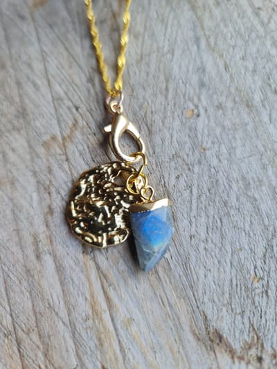 Handgemaakte labradoriet ketting met gouden munt - zilver 925 - verguld ketting 1st