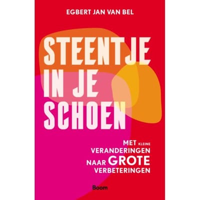 Steentje In Je Schoen - Egbert Jan van Bel