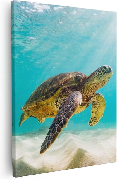 Artaza Canvas Schilderij Schildpad - 40x50 cm - Muurdecoratie Strand - Wanddecoratie Zee - Kamer Accessoires
