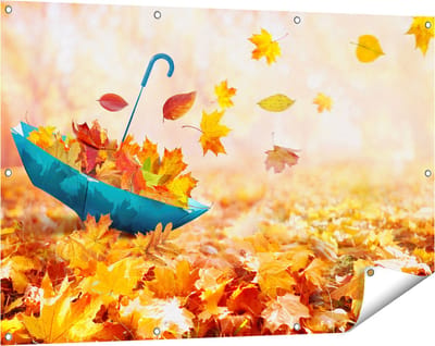 Gards Tuinposter Blauwe Paraplu in de Herfstbos met Bladeren - 120x80 cm - Tuindoek - Tuindecoratie - Wanddecoratie buiten - Tuinschilderij