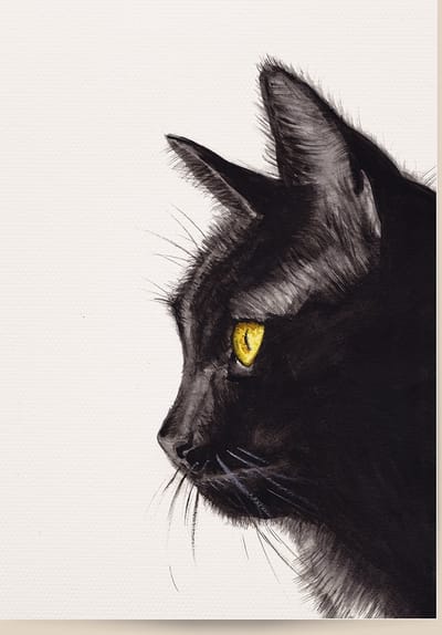 World of Mies poster zwarte kat - A4 - mooi dik papier - Snel verzonden! - poezen katten huisdieren - dieren in aquarel - geschilderd door Mies