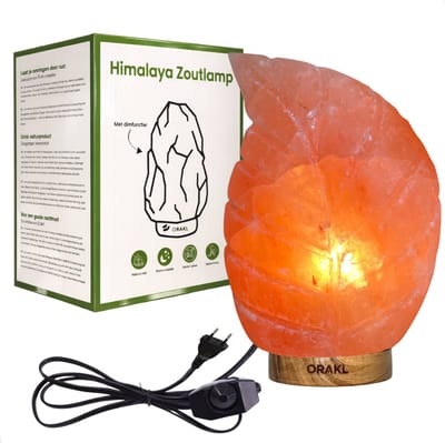 Luxe Dimbare Himalaya Zoutlamp Leaf - 2-4 KG en ca. 18 cm - Nachtlamp - Tafellamp - Cadeauverpakking