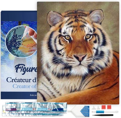 Figured'Art Diamond Painting set Volwassenen 40x50 cm met lijst Oog tijger - 5D DIY Art full drill vierkante diamant - Canvas al ingelijst