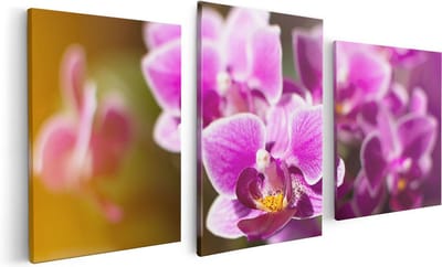 Artaza Canvas Schilderij Drieluik Paarse Orchidee Bloemen - 120x60 - Foto Op Canvas - Canvas Print