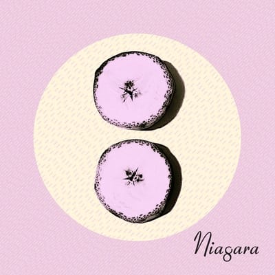 Niagara - Otto (CD)