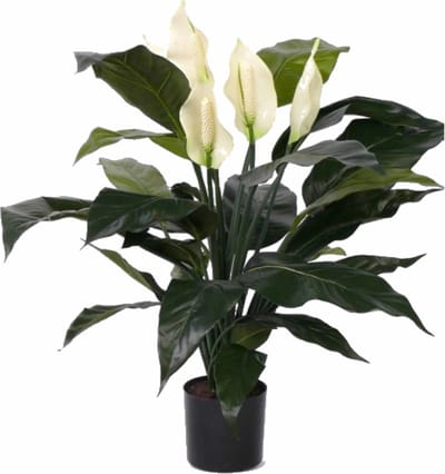 Bellatio flowers & plants Kunstplant Lepelplant - groen - 75 cm - met bloemen