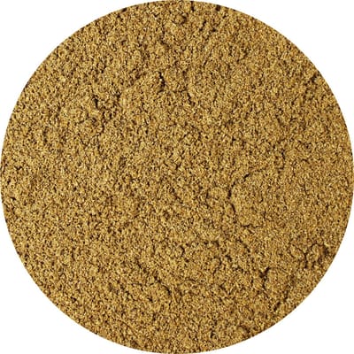 Van Beekum Specerijen - Koriander Gemalen - 15 KG - Zak (bulk verpakking)