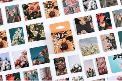 Bloemen & Fotografie Stickers 46 stickers – Bullet Journal, Planner & Scrapbook Stickers – Sinterklaas & Kerstcadeau – Schoencadeau – Cadeaus onder 5 euro