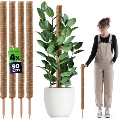 Cande kokosplantenstok 90 cm potsteun 4 st.