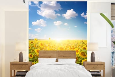 Behang - Fotobehang Zonnebloem - Zon - Wolken - Breedte 190 cm x hoogte 260 cm