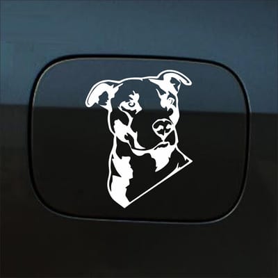 Bumpersticker - Pitbull  - 13 X 11 - Wit