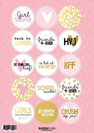 15 luxe Stickers - sluitsticker - A5 Stickervel MEIDEN - tiener - feestje - school - agenda
