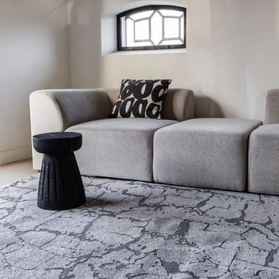 Vloerkleed Cairt Grijs/Antraciet - 200 x 290 cm - (L)