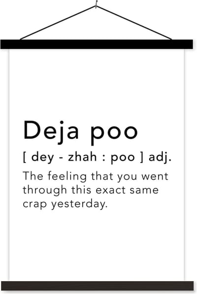 Posterhanger incl. Poster 60x80 cm - Schoolplaat - Spreuken - Quotes - The feeling that you went through this exact same crap yesterday - Deja vu - Textielposter - Zwarte latten