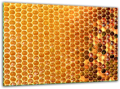 TMK ArtDeko Serie - Gehard Glazen Snijplank - 30x22cm - Hygienisch - Krasbestendig