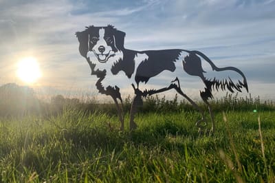 Metalen Hond - Kooikerhond - Cortenstalen tuindecoratie - Hond