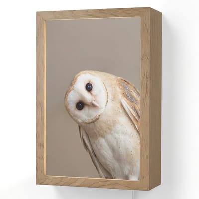 Wandlamp 20x30 cm - Oplaadbaar - Uil - Bruin - Wit - Wandlampen binnen woonkamer - Slaapkamer lamp met kabel - Decoratieve nachtlamp - Vloerlamp snoer