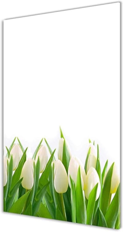 Schilderij op acryl glas - Wanddecoratie Kunstdruk - Muren Decoreren - 4mm Gehard Glas - 50x100cm - Wit
