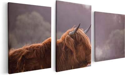 Artaza Canvas Schilderij Drieluik Schotse Hooglander Koe Ligt In Het Gras - 120x60 - Foto Op Canvas - Canvas Print
