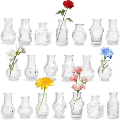 Famanu – Mini vaasjes set van 20 stuks, glazen bloemenvazen in vintage stijl, geschikt voor tafeldecoratie, feesten en interieurdecoratie