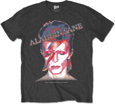 David Bowie - Aladdin Sane Heren T-shirt - 2XL - Grijs