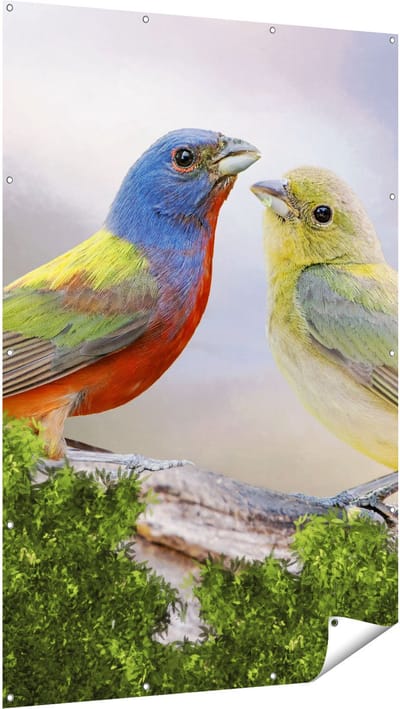 Gards Tuinposter Getekende Gorzen Vogels - Kleur - Abstract - 120x180 cm - Tuindoek - Tuindecoratie - Wanddecoratie buiten - Tuinschilderij
