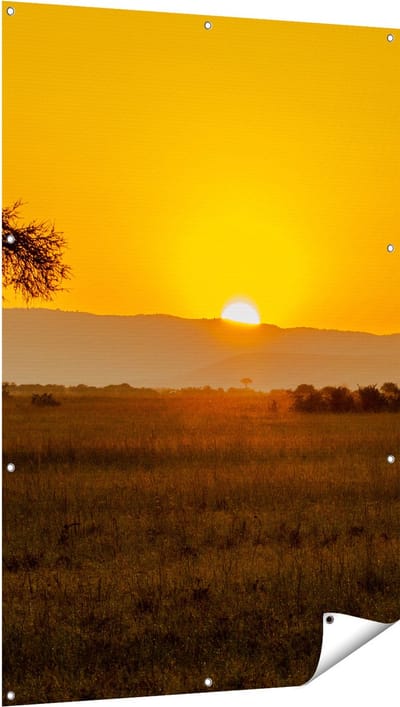 Gards Tuinposter Zonsopgang in de Savanne met een Boom - 100x150 cm - Tuindoek - Tuindecoratie - Wanddecoratie buiten - Tuinschilderij