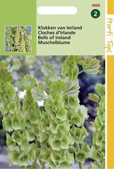 Hortitops Zaden - Moluccella Laevis (Klokken Van Ierland)