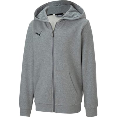 Puma Childrens/Kids TeamGoal 23 Casuals Trekkoord Hoodie (Grijs)