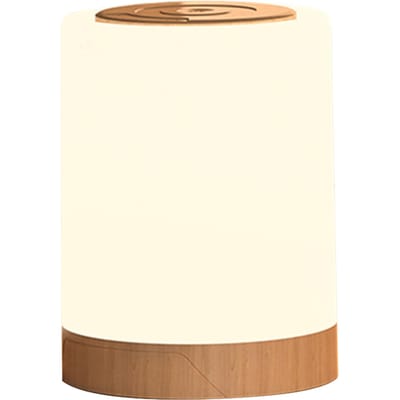 Nachtkastlamp Touch Sensor Nachtlampjes Wit & RGB Licht Instelbare Timing Helderheid Licht wit