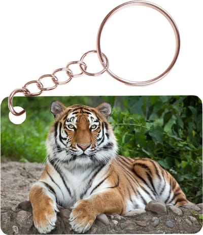 Sleutelhanger 6x4cm - Tijger op Stenen - Liggend